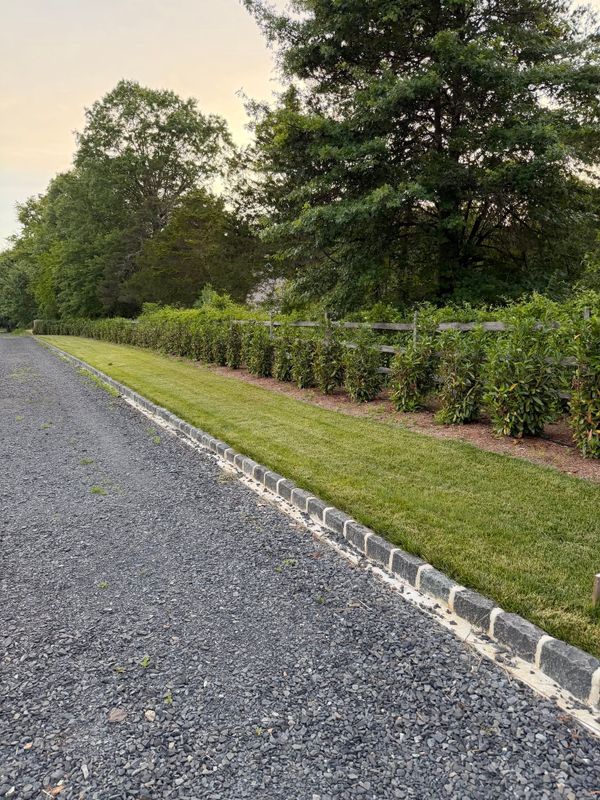 Privacy Hedges