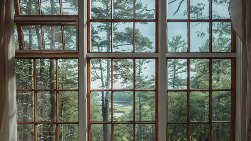 Windows & Doors