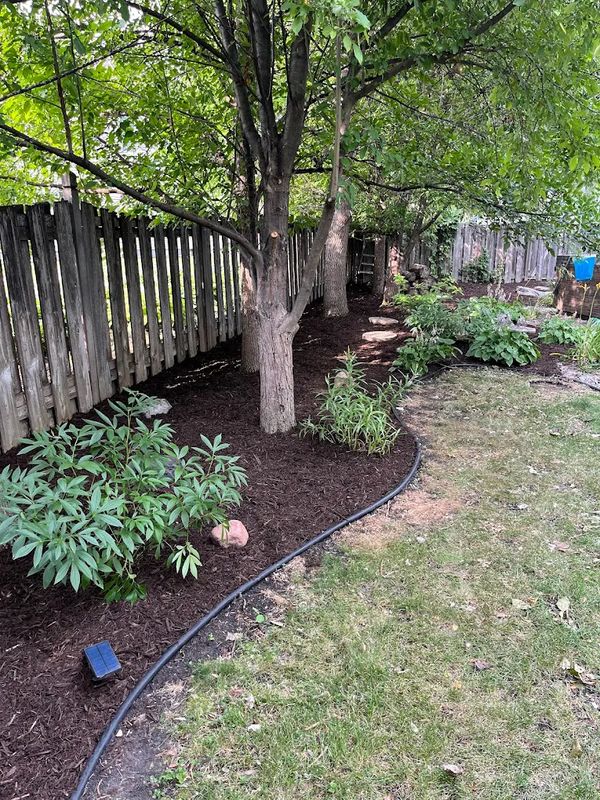 Mulch & Bed Edging & Installation