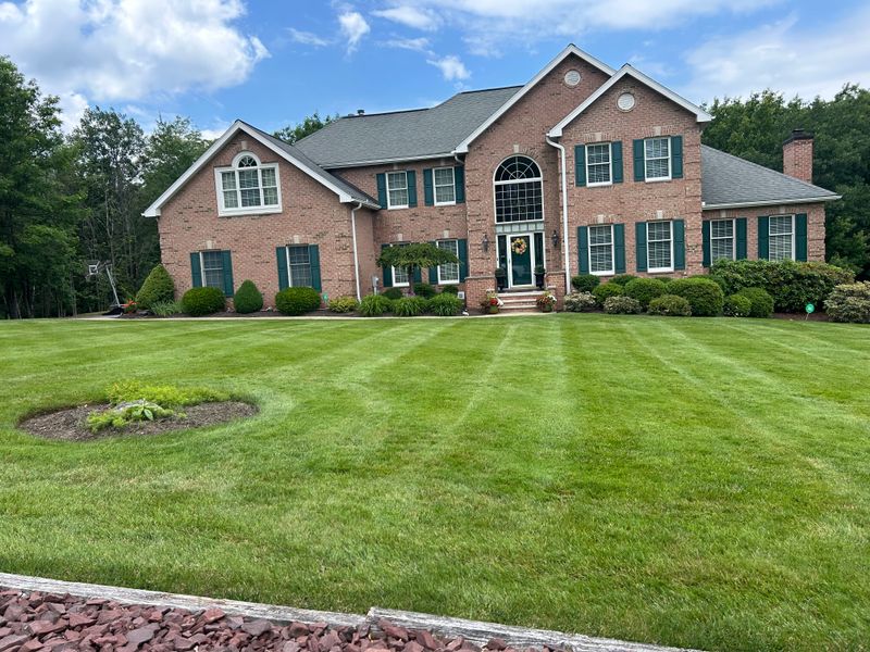 Lawn Maintenance