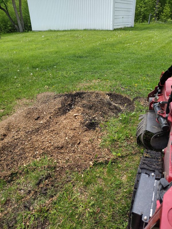 Stump Removal
