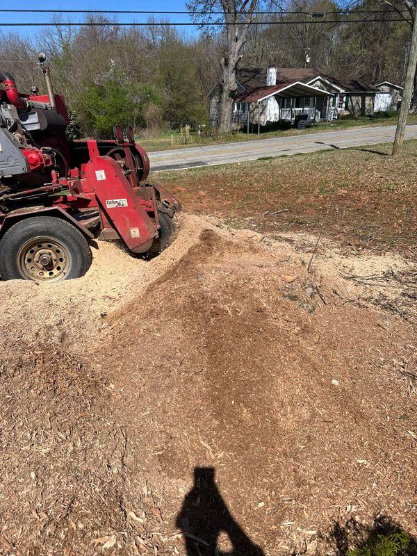 Stump Removal