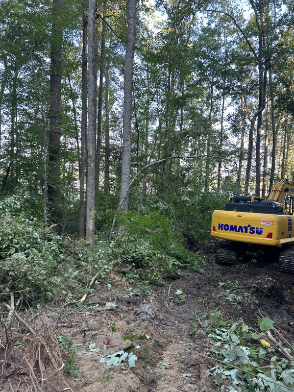 Land Clearing