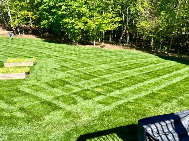 Fertilization and Weed Control Programs