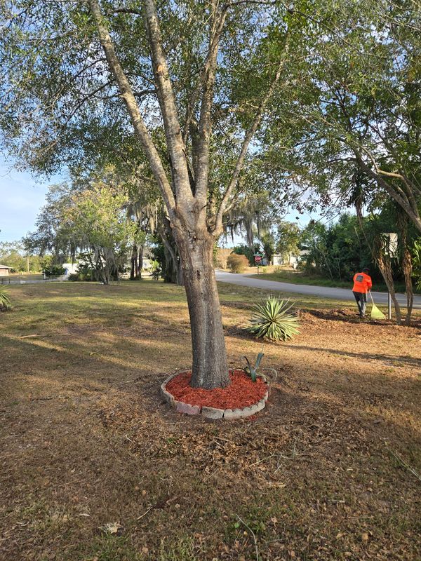 Lawn Care & Maintenance