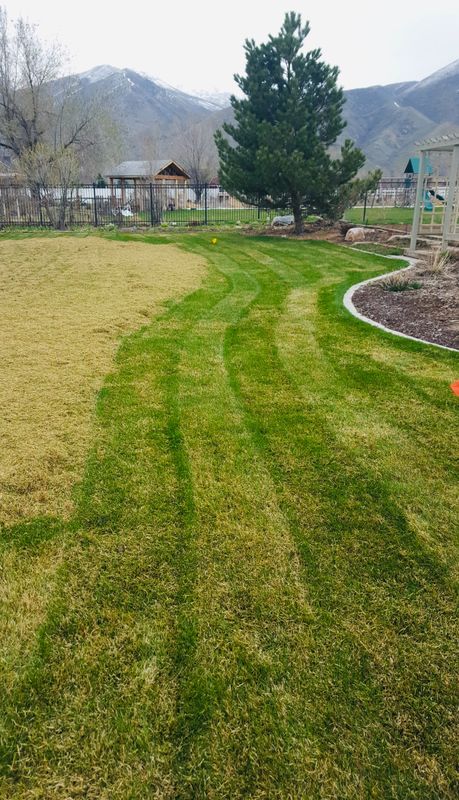 Mowing