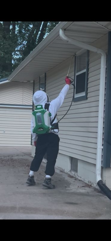 Pest Control Services
