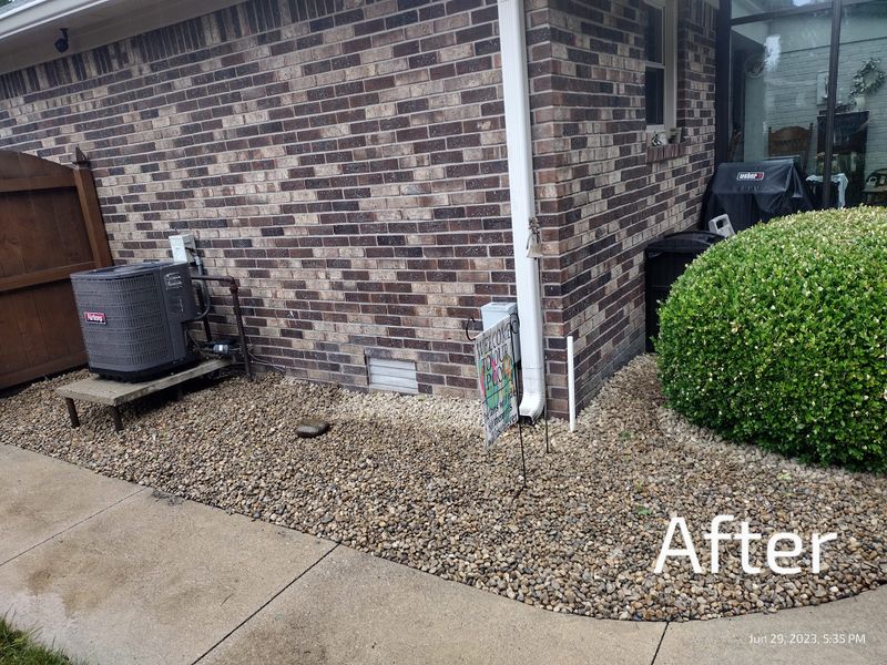 Shrub Trimming