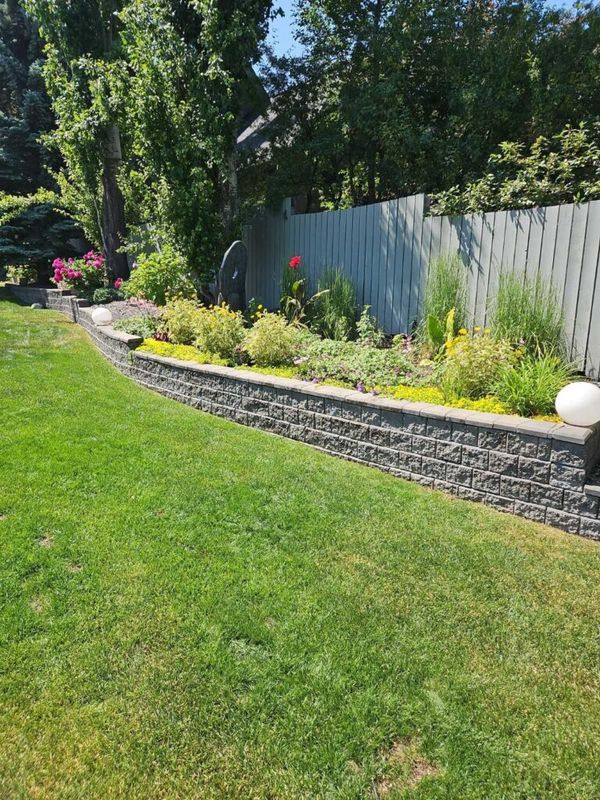 Yard Clean Ups