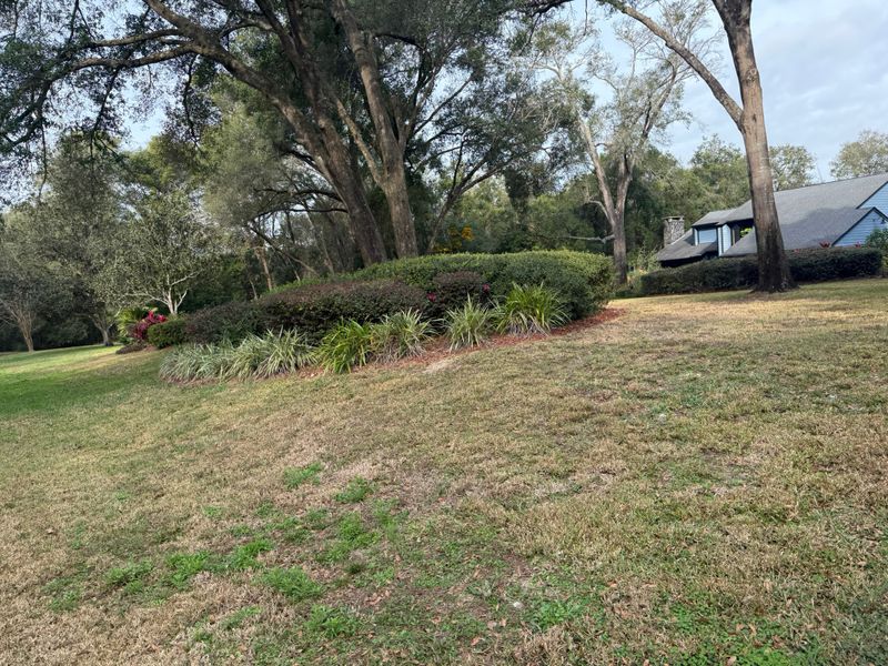 Tree Pruning