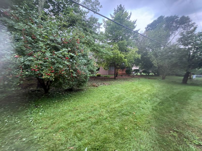 Land Clearing
