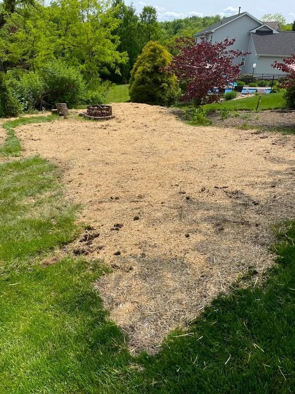 Land Clearing