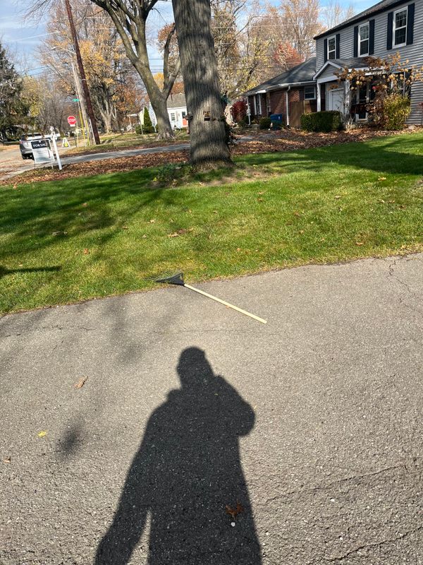 Fall clean up