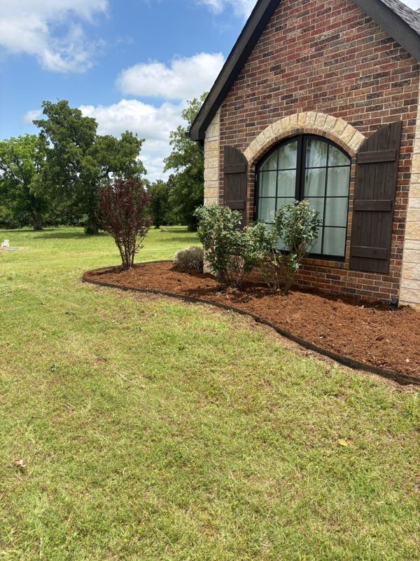 Shrub Trimming/Removal