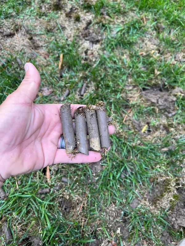 Lawn Aeration