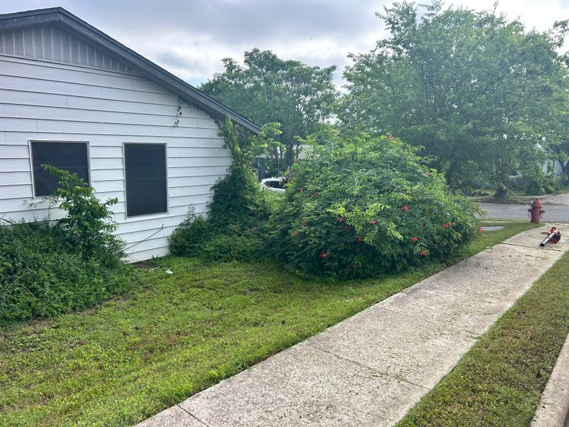 Shrubbery trimming and removal