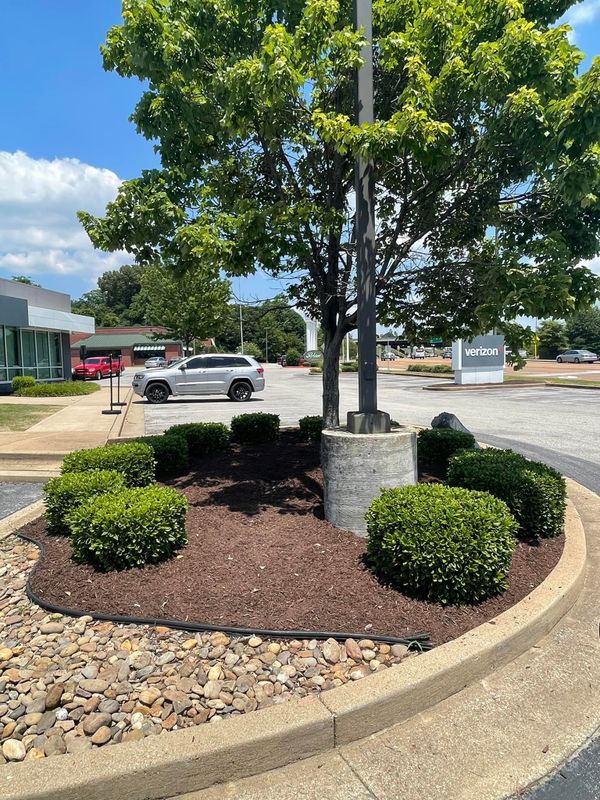 Mulch Installation