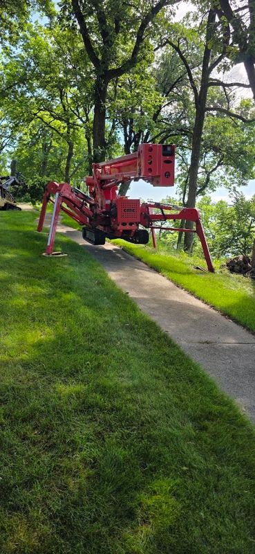 Tree Removal