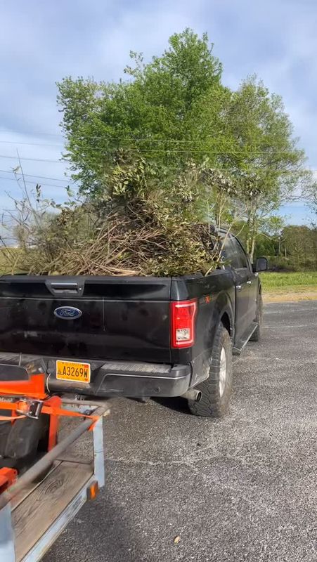 Seasonal Cleanups