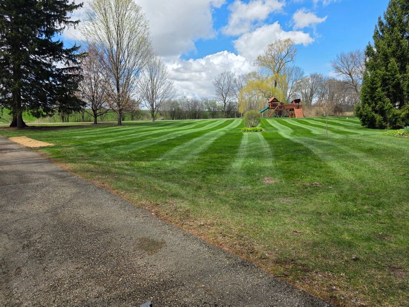 Lawn Mowing