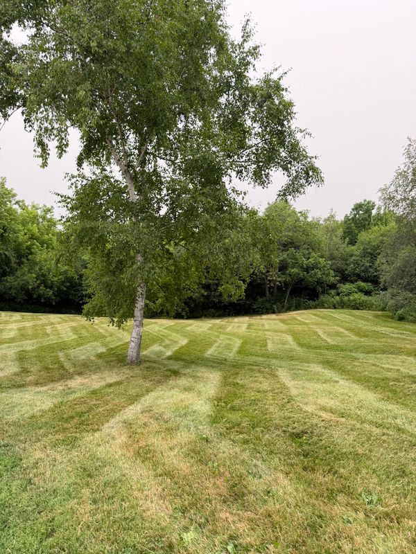 Lawn Maintenance