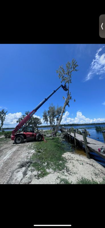 Land Clearing