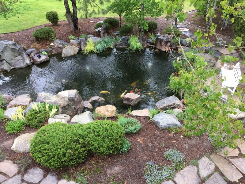 Pond Construction