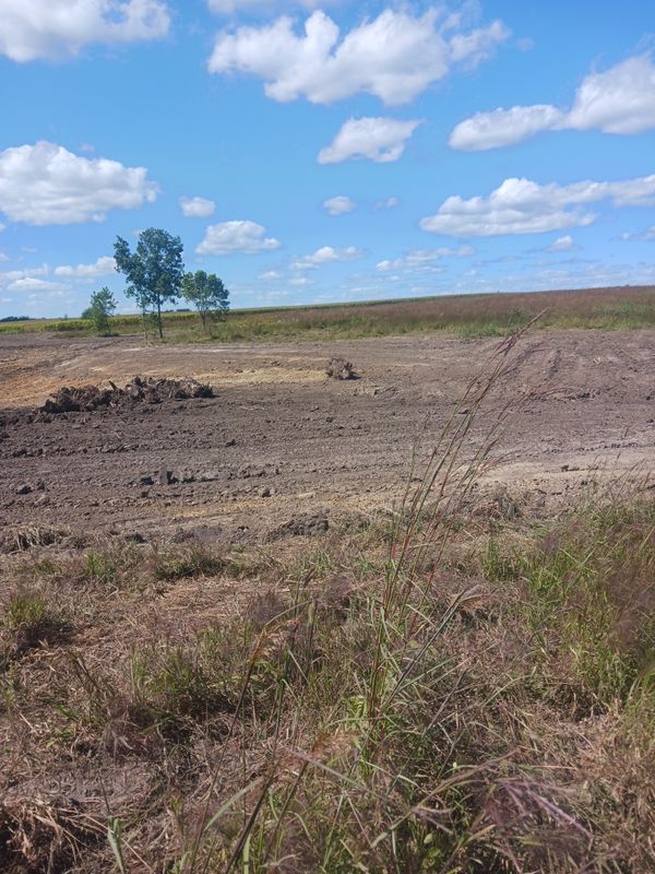 Land clearing