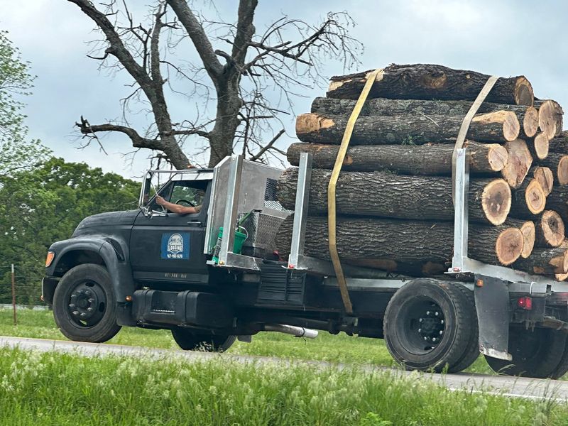 Logging