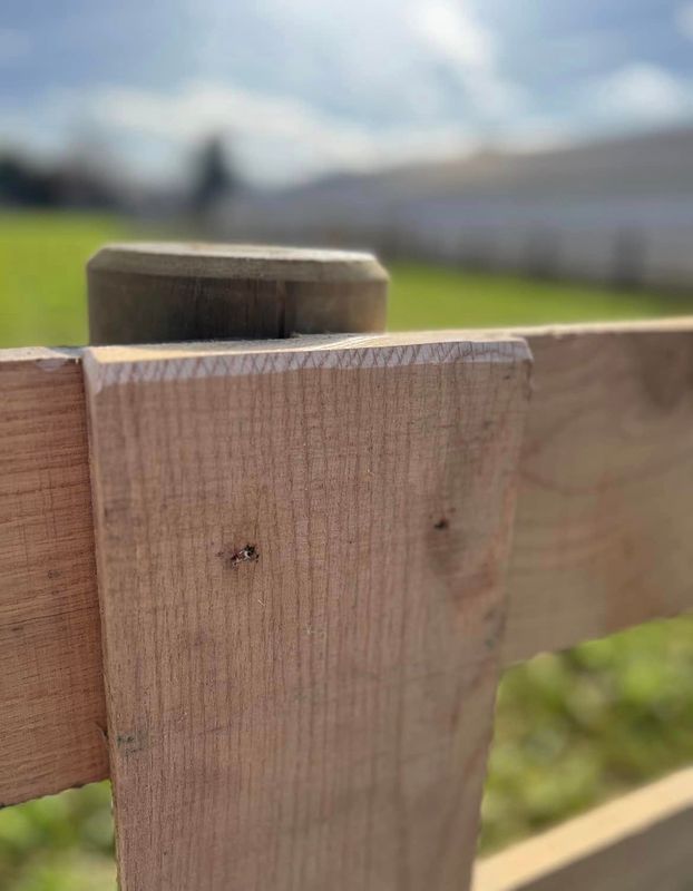 Fence Repair