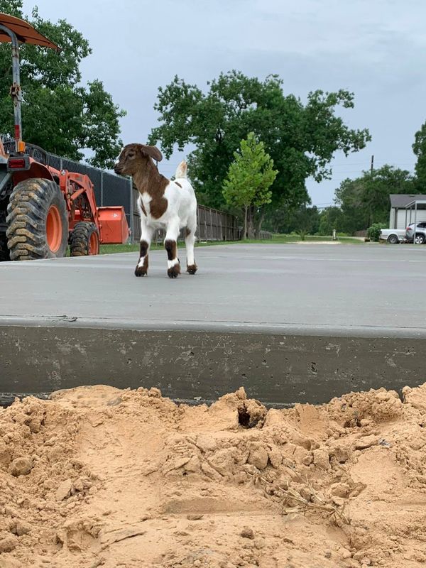 Concrete Slab Construction