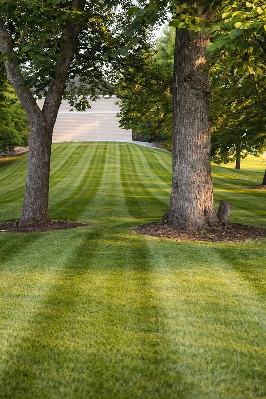 Landscape Design & Installation