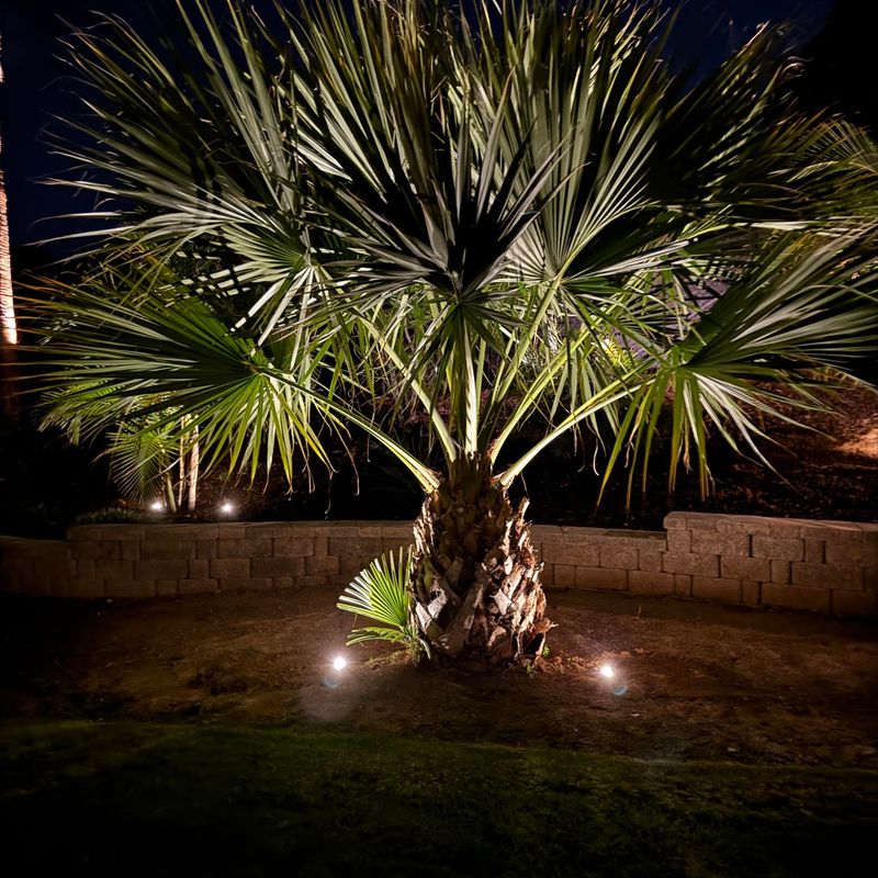 Landscape Lighting