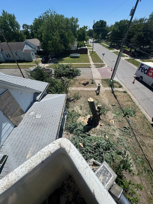 Tree Removal