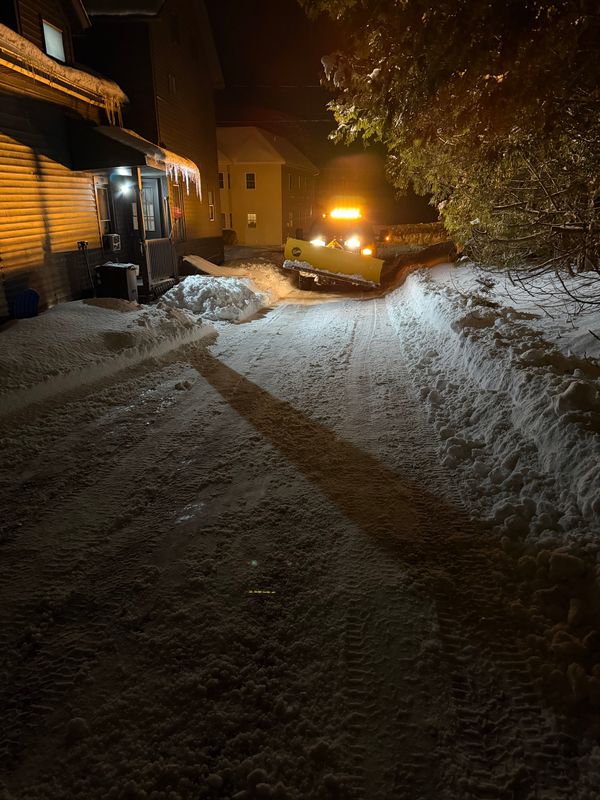 Seasonal Clean-up Services