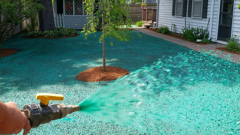 Hydroseeding