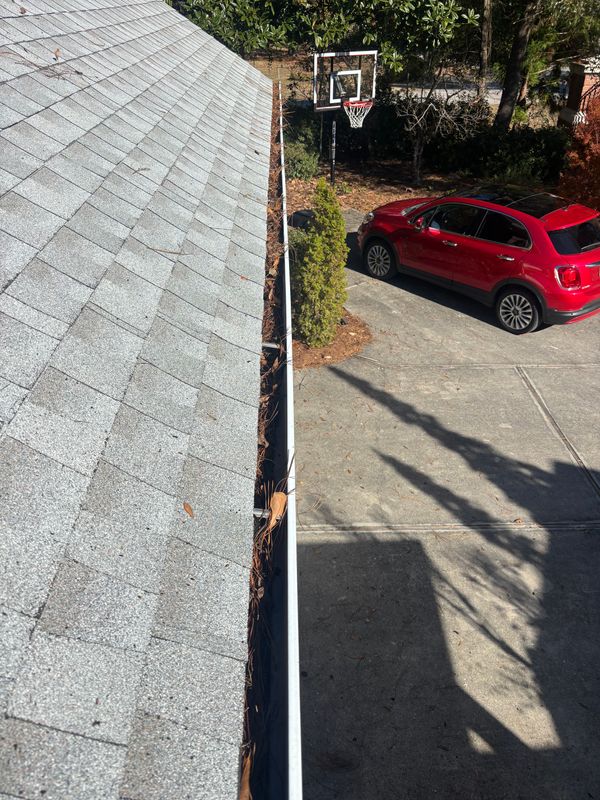 Gutter Cleaning