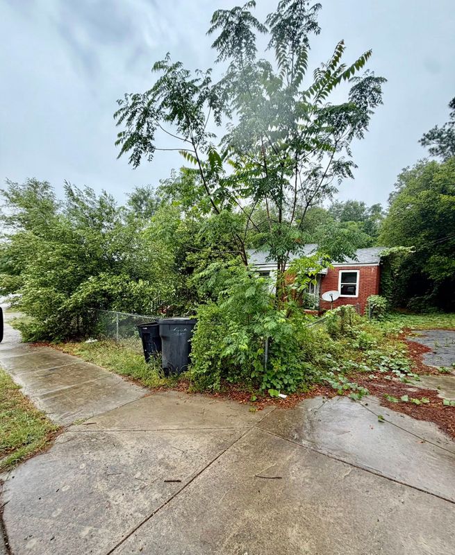 Tree & Shrub Care