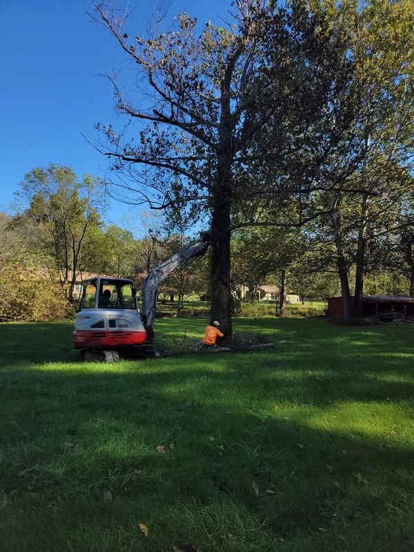 Tree Services