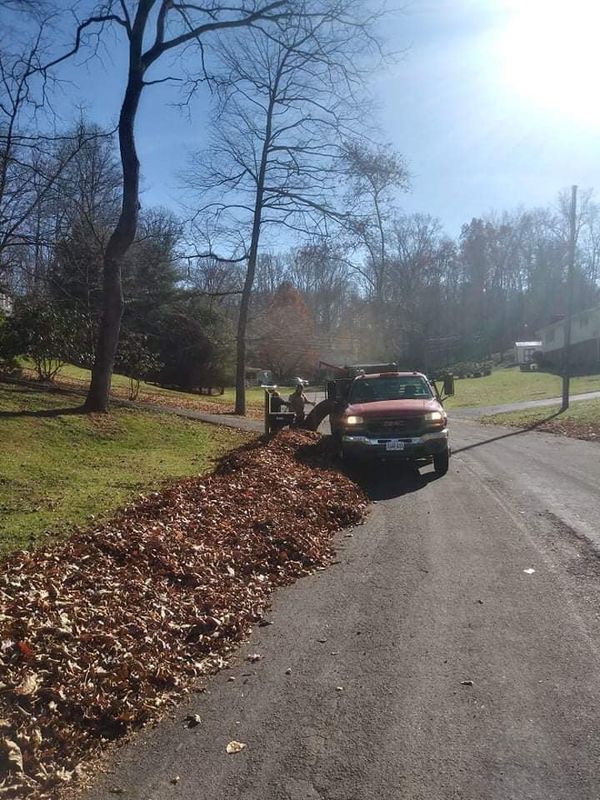 Fall Clean Up