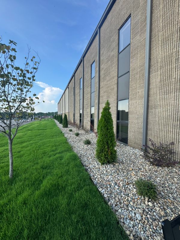 Shrub Trimming