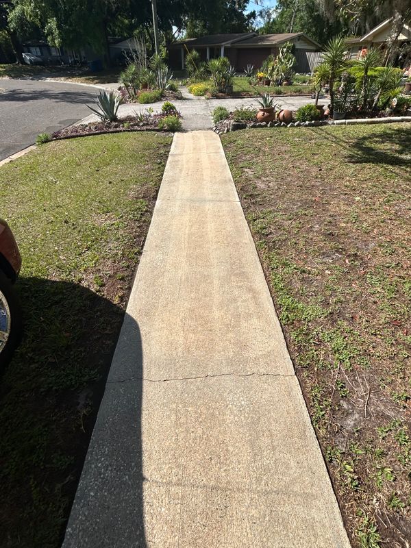 Driveway and Sidewalk Cleaning