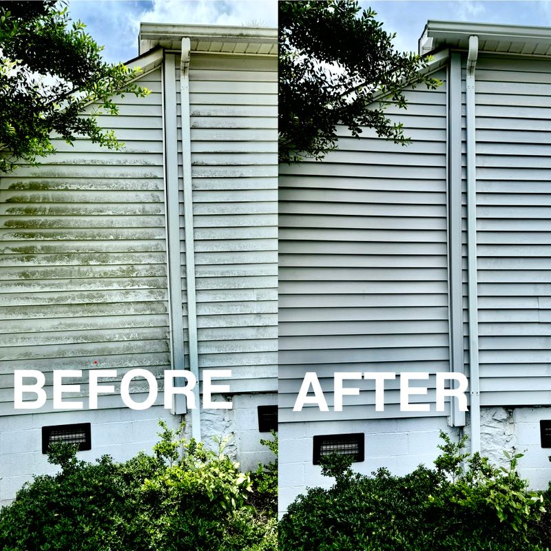 Pressure Washing 