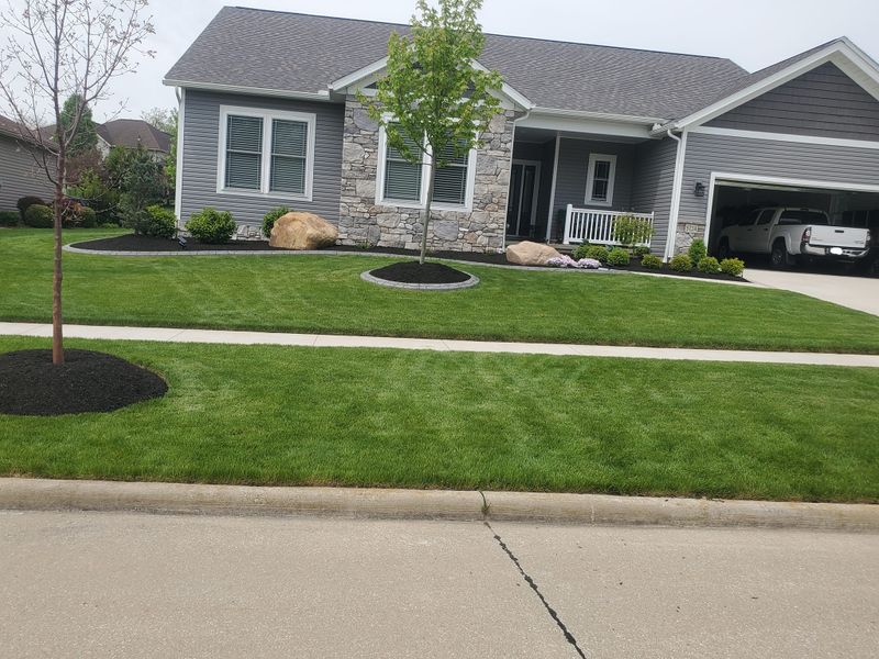 Weed Control