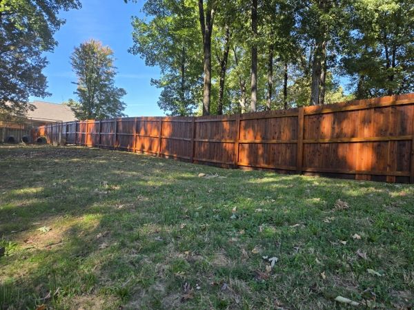 Fence staining gallery