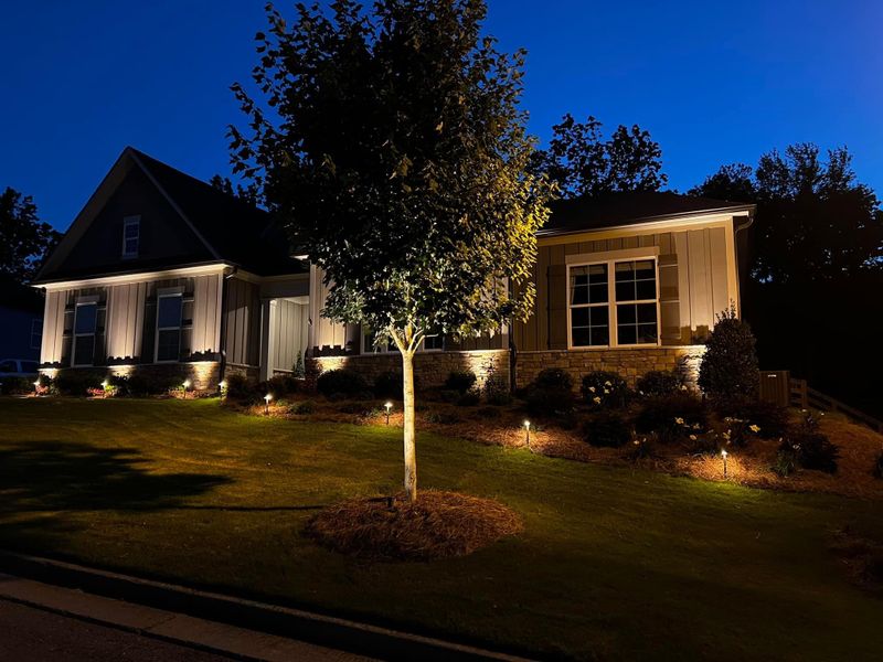Landscape Lighting