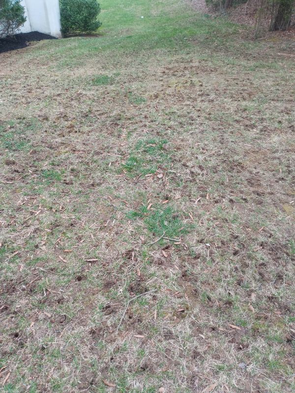 Grass Up