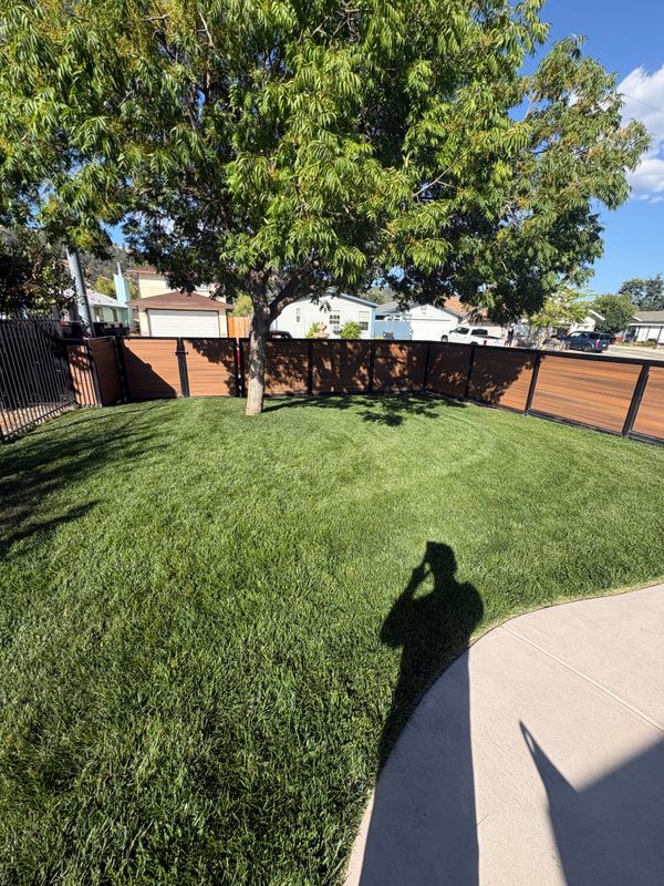 Lawn Maintenance