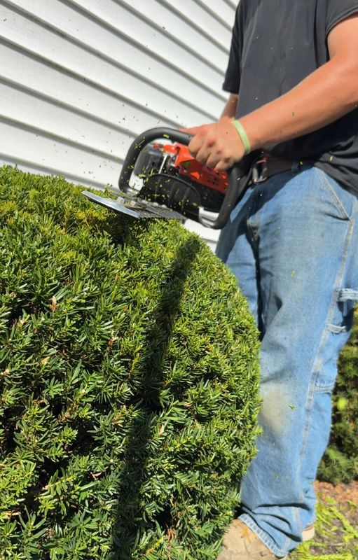 Shrub Trimming