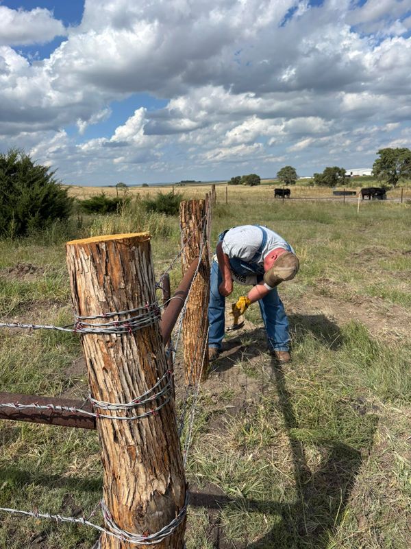 Fence Installation